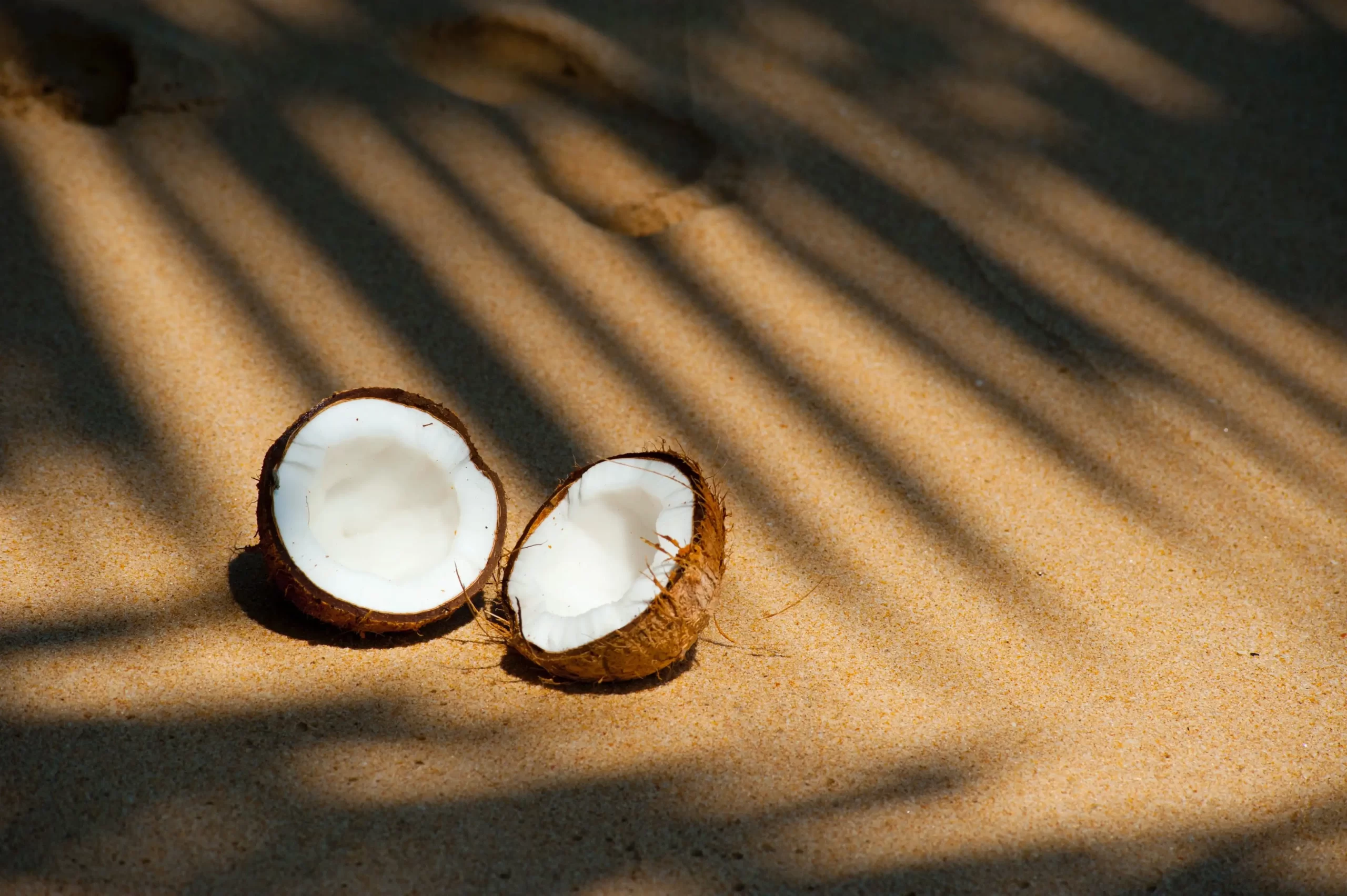 Coconut face pack for dry skin